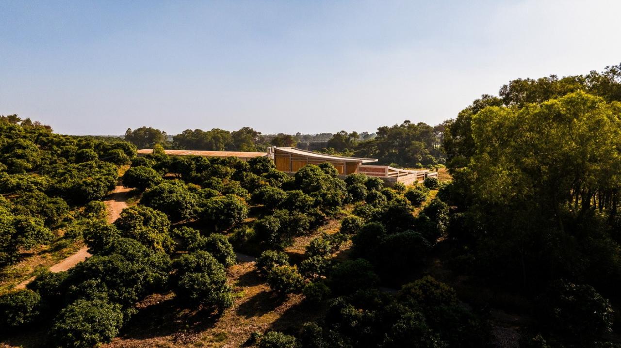 BIM建筑|独岭教育文化中心 / 明德工程,香港大学