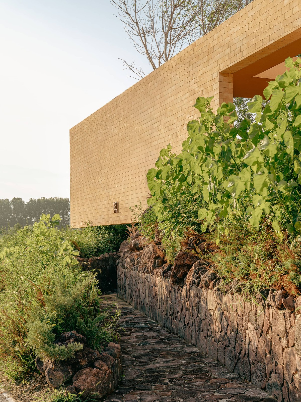 BIM建筑|ARVO 16：30酒店: 接住光影草木的城堡 / 大料建筑