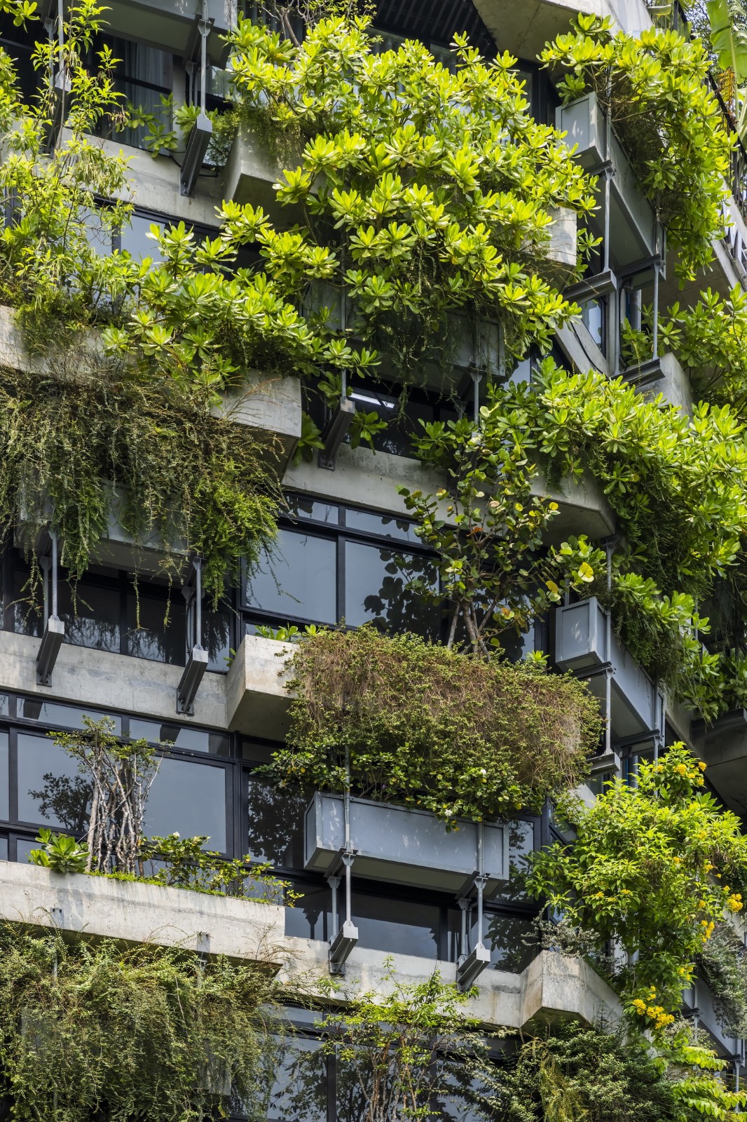 BIM建筑|AEC 4B 外语教育中心 / Ho Khue Architects