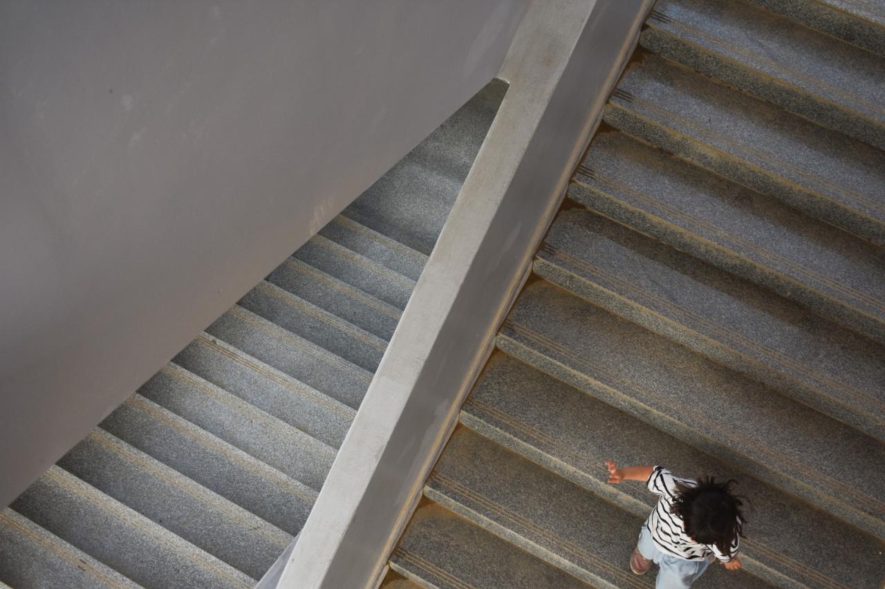 BIM建筑|沿江乡村学校 / DOMAT