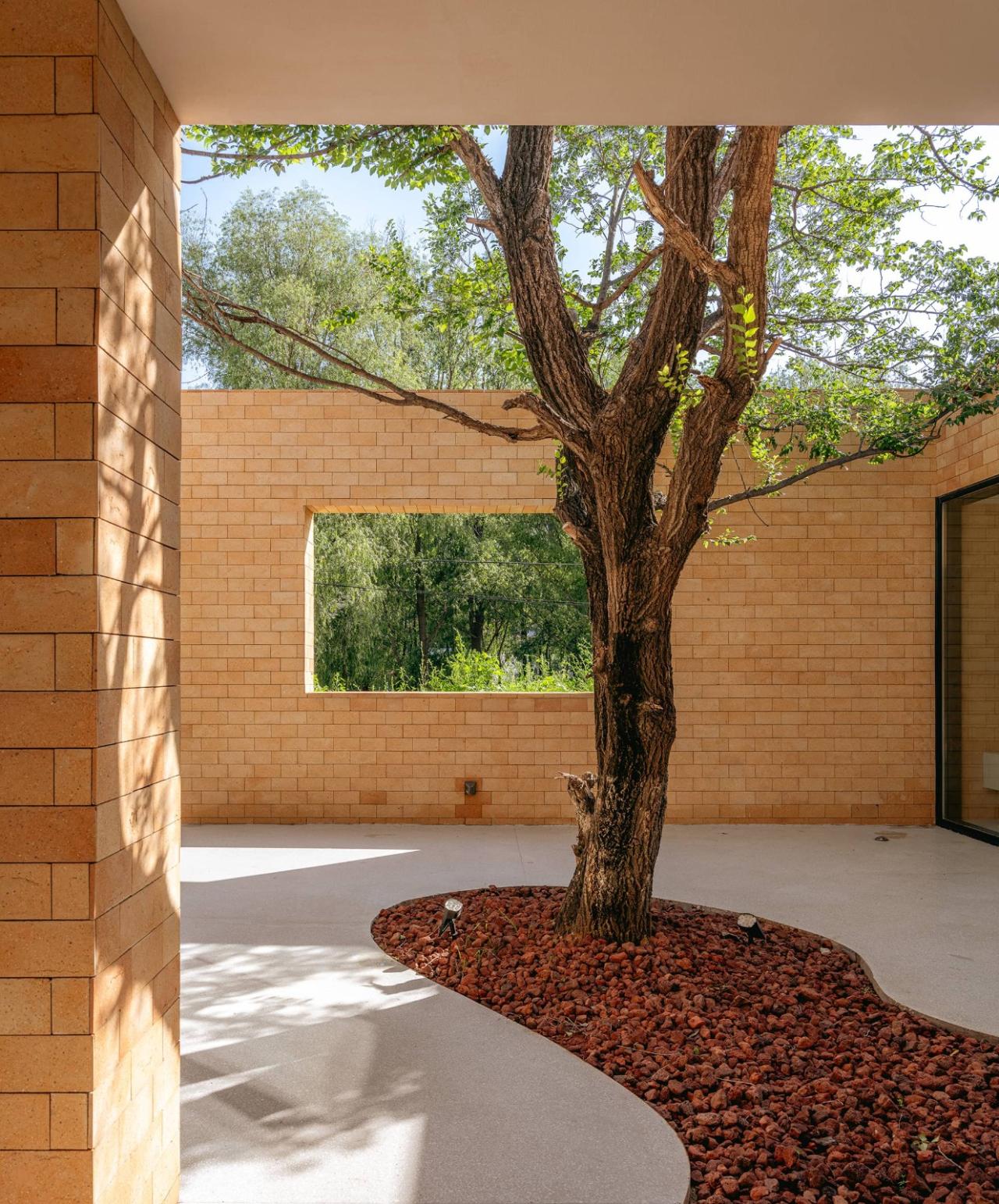 BIM建筑|ARVO 16：30酒店: 接住光影草木的城堡 / 大料建筑