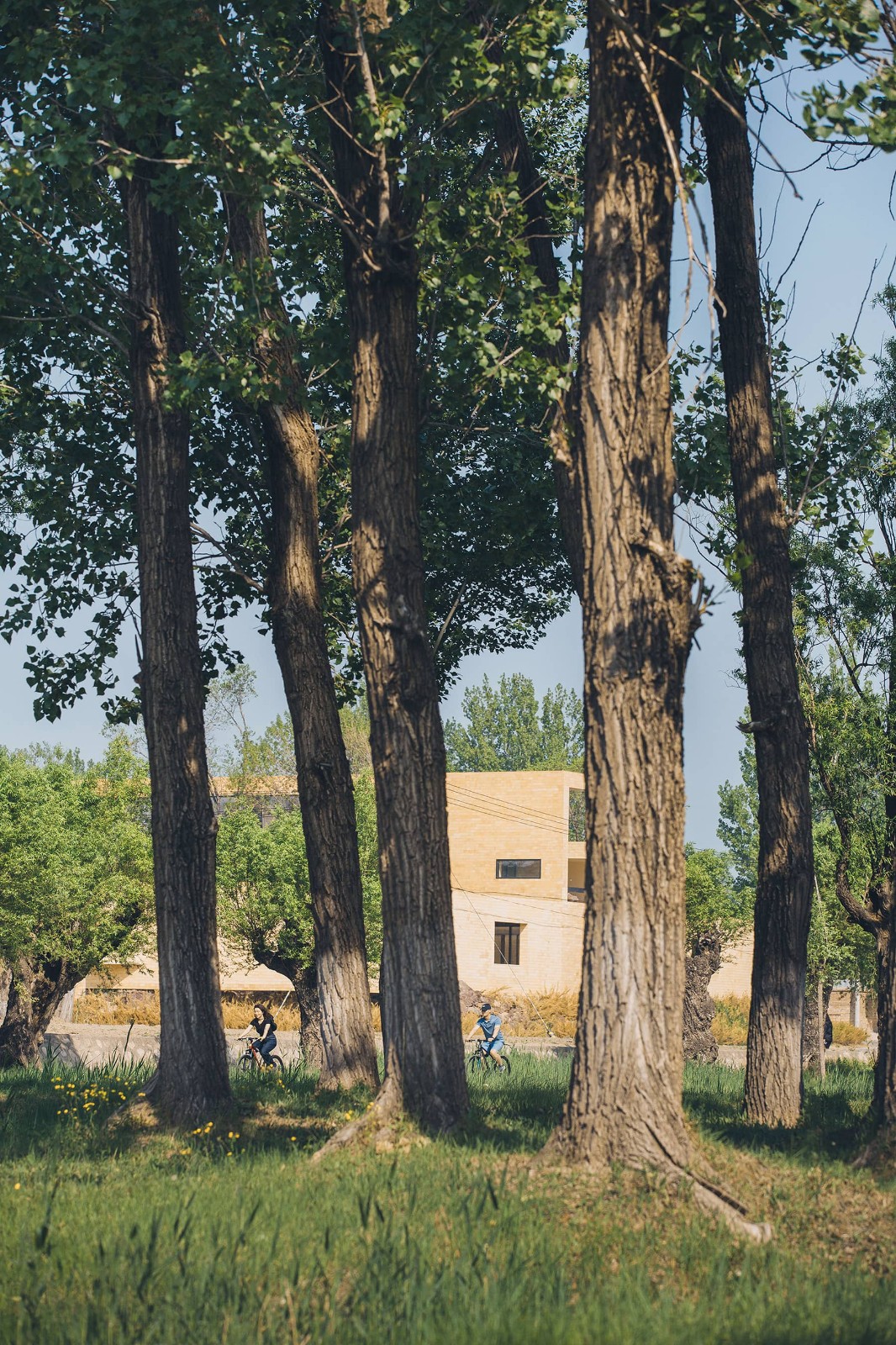 BIM建筑|ARVO 16：30酒店: 接住光影草木的城堡 / 大料建筑