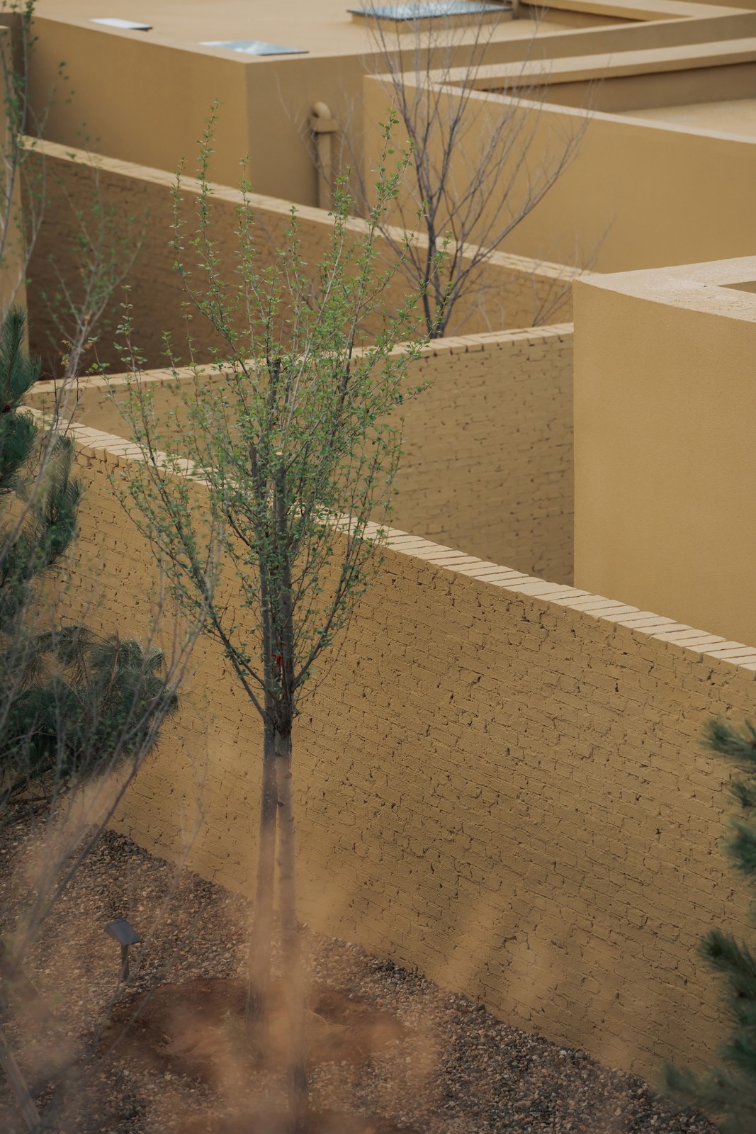 BIM建筑|KALHA 酒店·“沃里屯”村落更新 / CPLUS