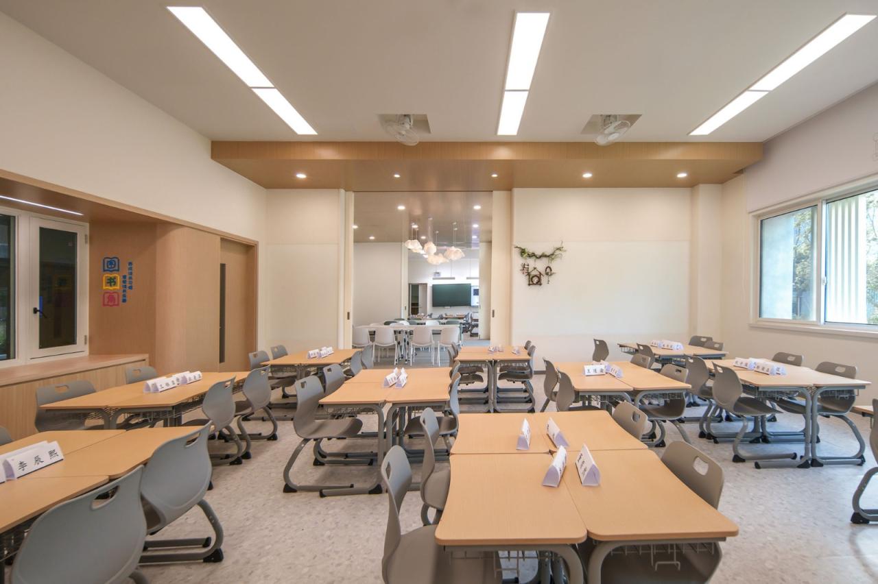 BIM建筑|上海市实验学校嘉定新城分校 / 大观景观