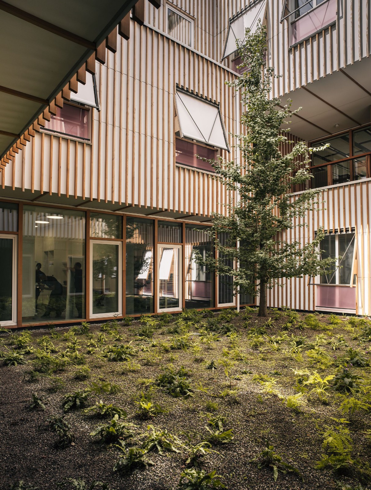 BIM建筑|苏黎世大学儿童医院 / 赫尔佐格与德梅隆事务所