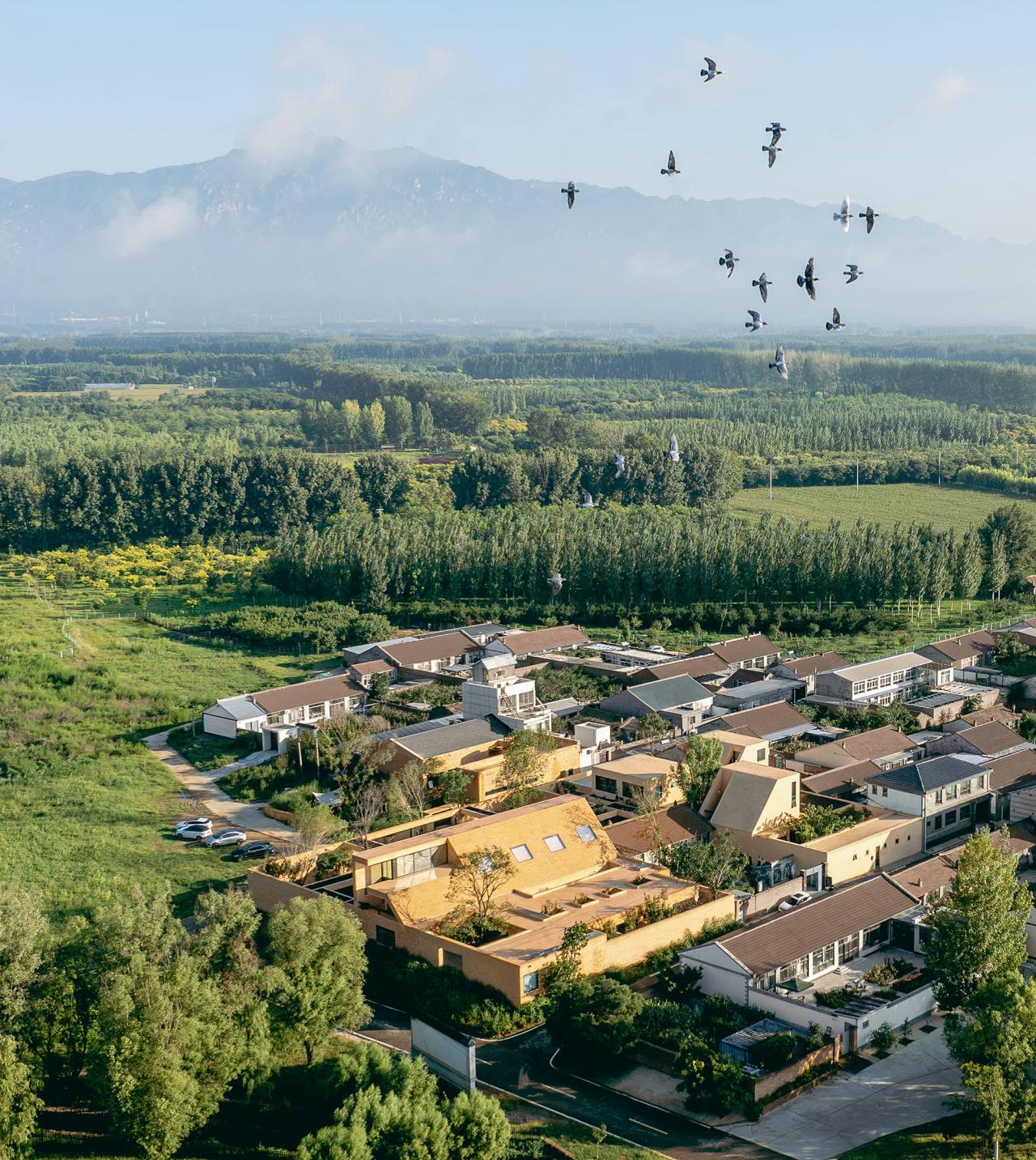 BIM建筑|ARVO 16：30酒店: 接住光影草木的城堡 / 大料建筑