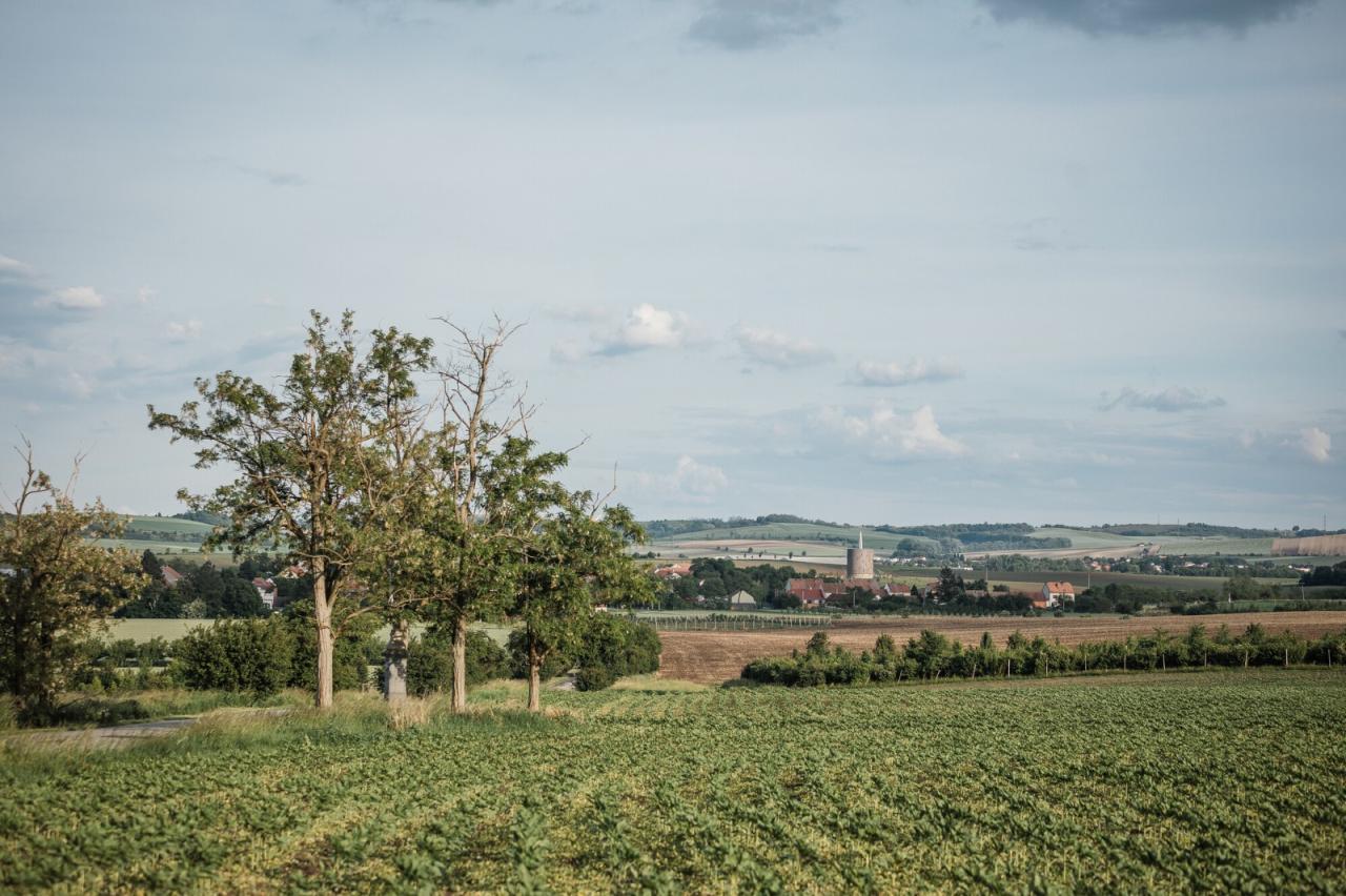 BIM建筑|Nesvačilka 圣母教堂 / RCNKSK