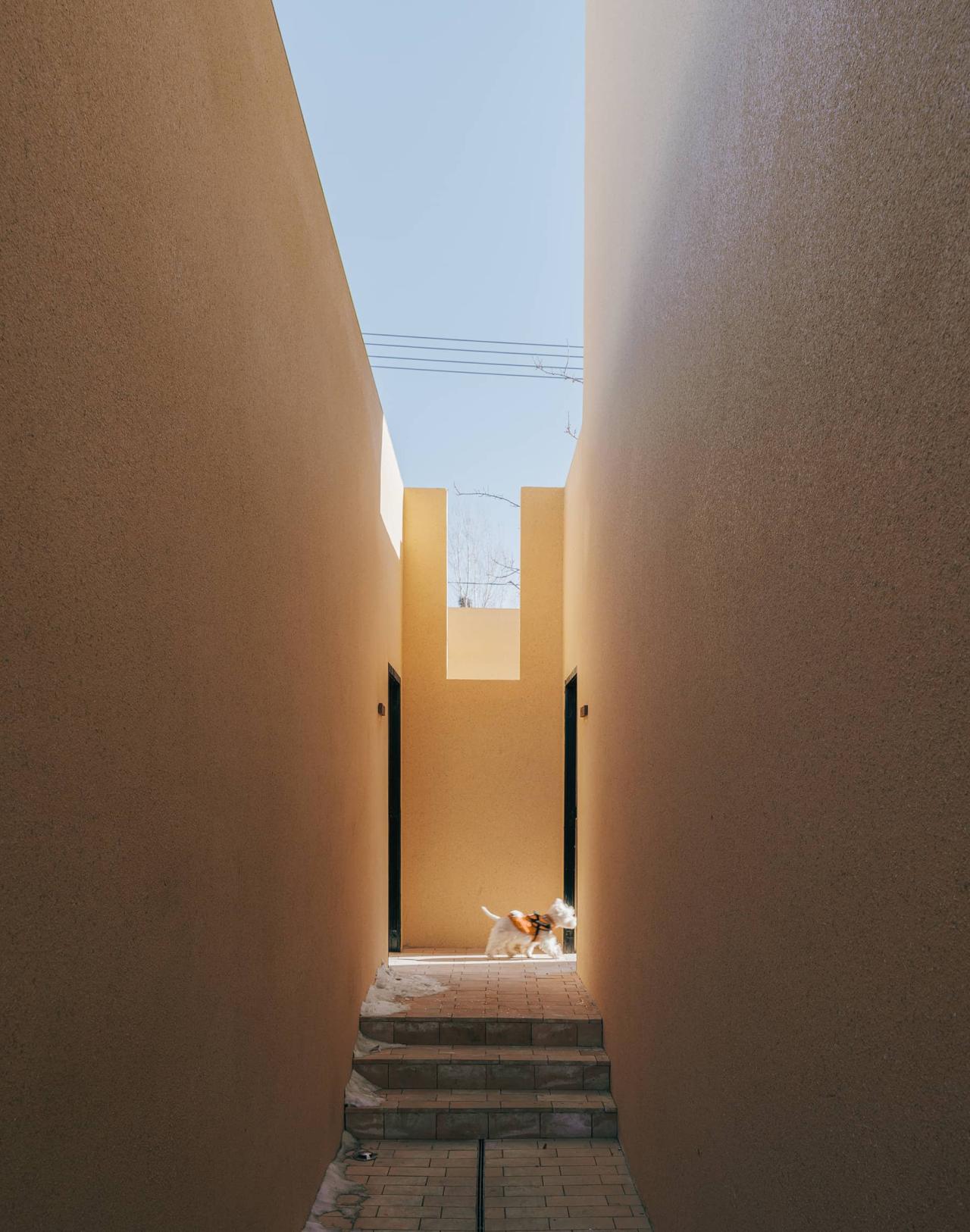 BIM建筑|ARVO 16：30酒店: 接住光影草木的城堡 / 大料建筑