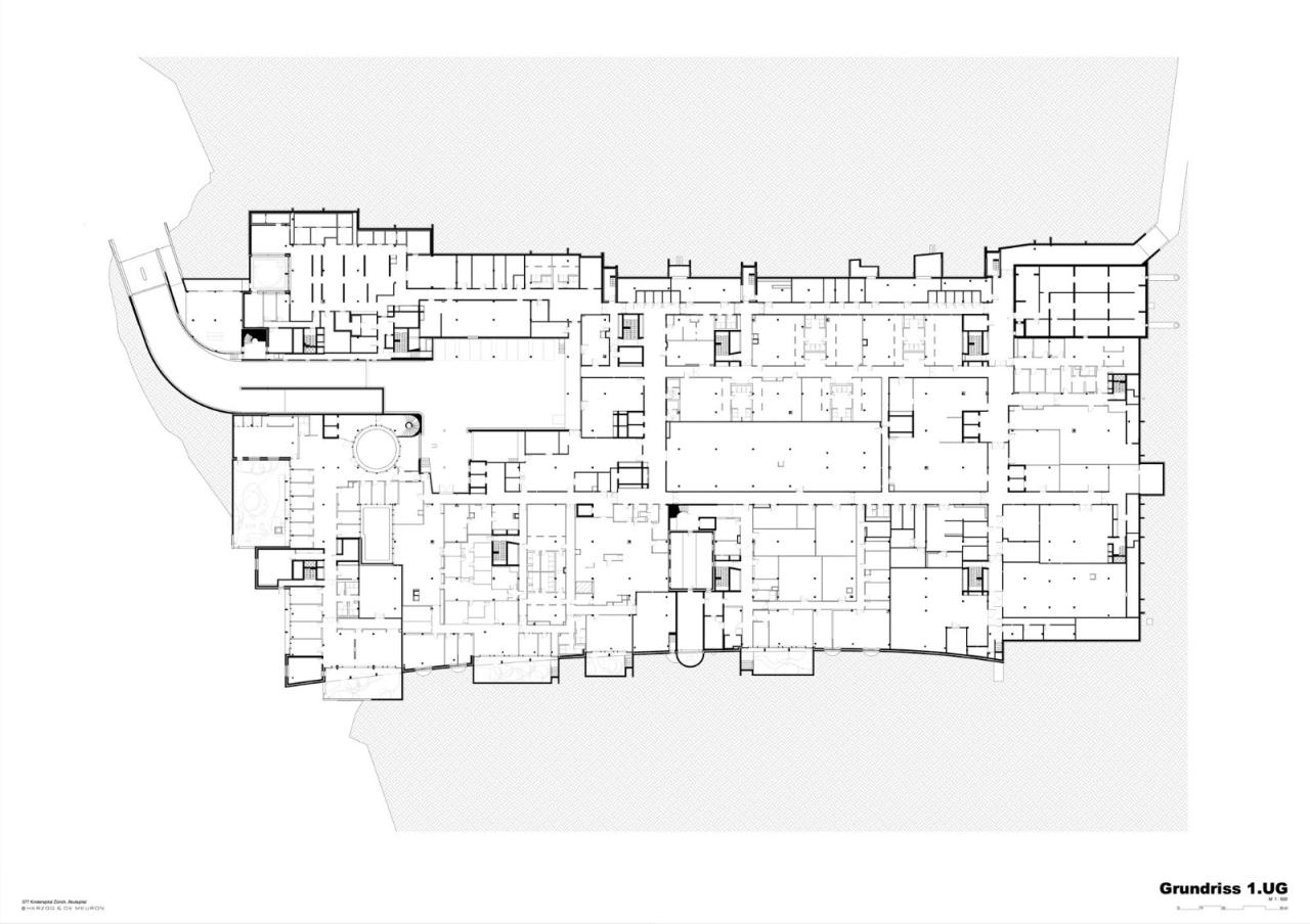 BIM建筑|苏黎世大学儿童医院 / 赫尔佐格与德梅隆事务所