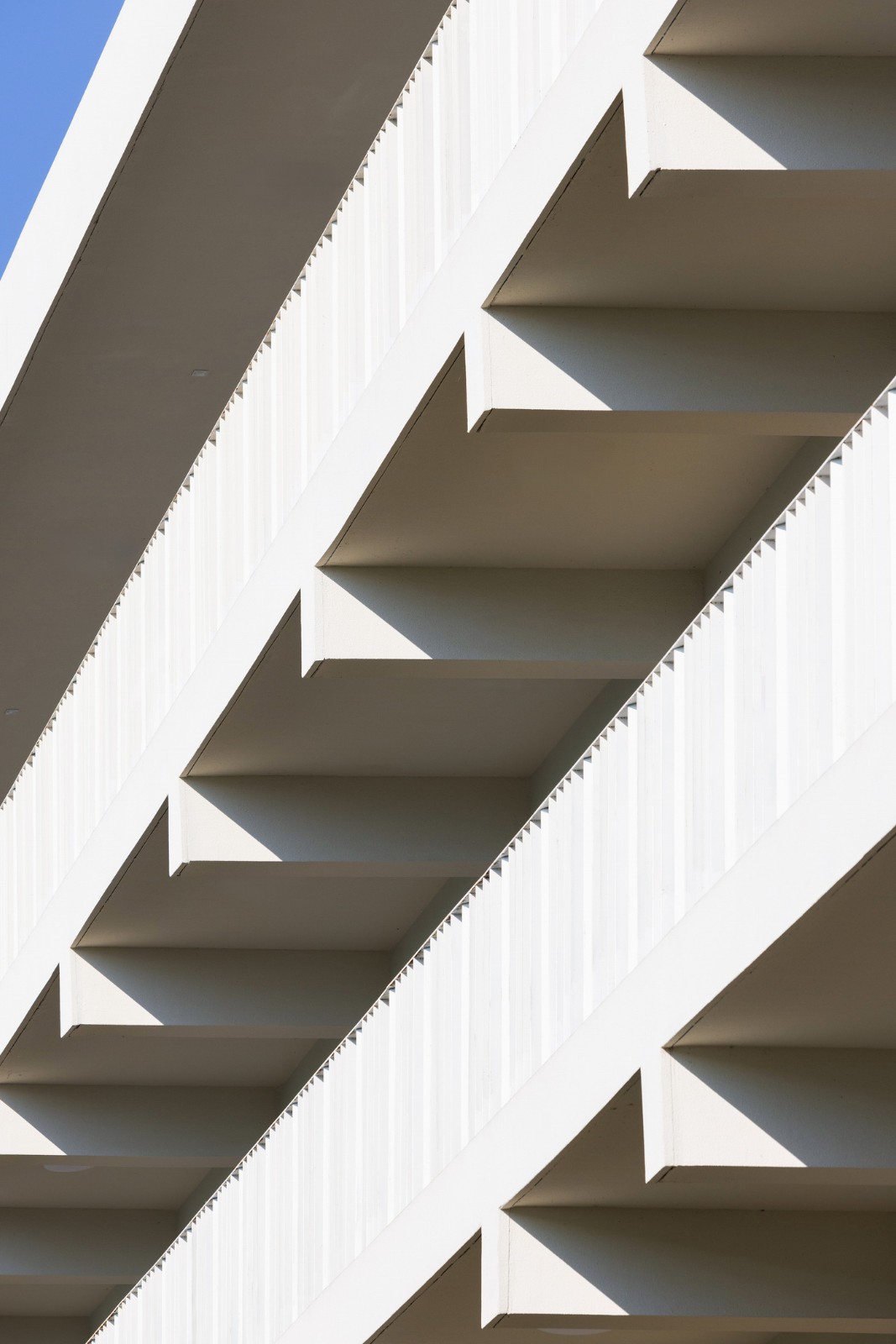 BIM建筑|南山五福堂高级中学 / 小写建筑