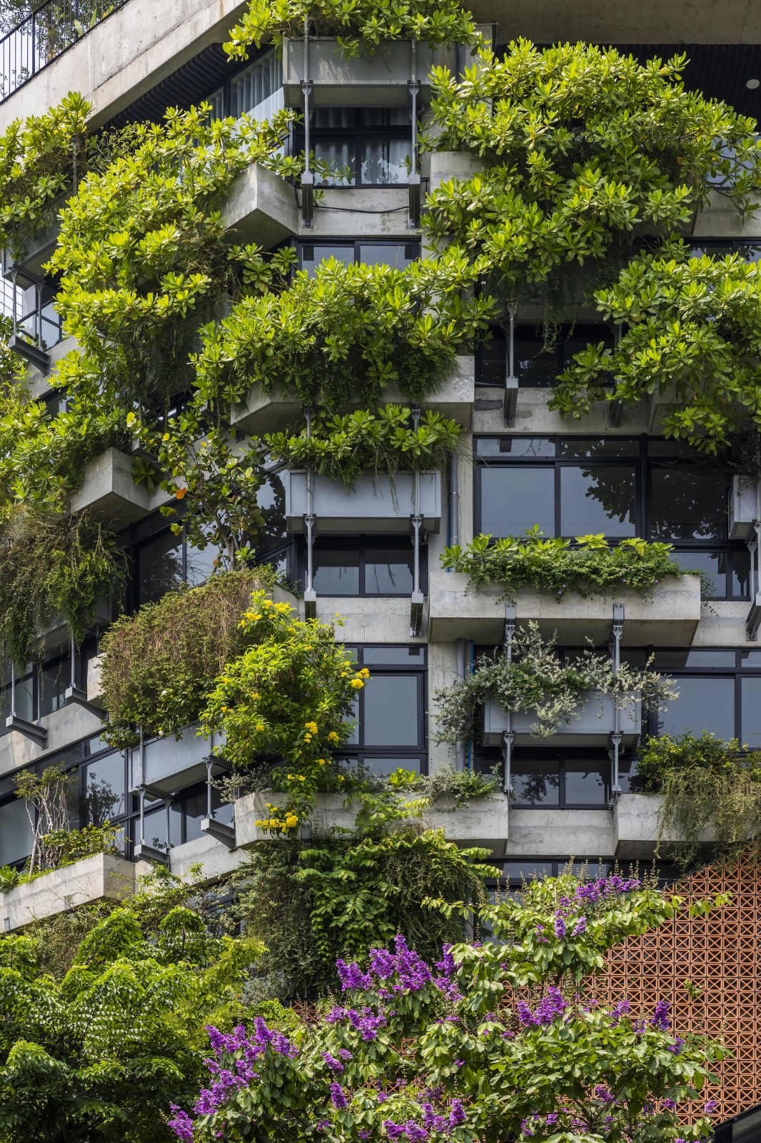 BIM建筑|AEC 4B 外语教育中心 / Ho Khue Architects