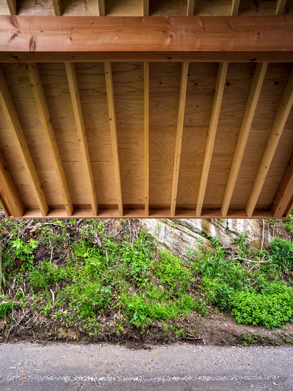 BIM建筑|富津度假小屋 / Atelier MEME