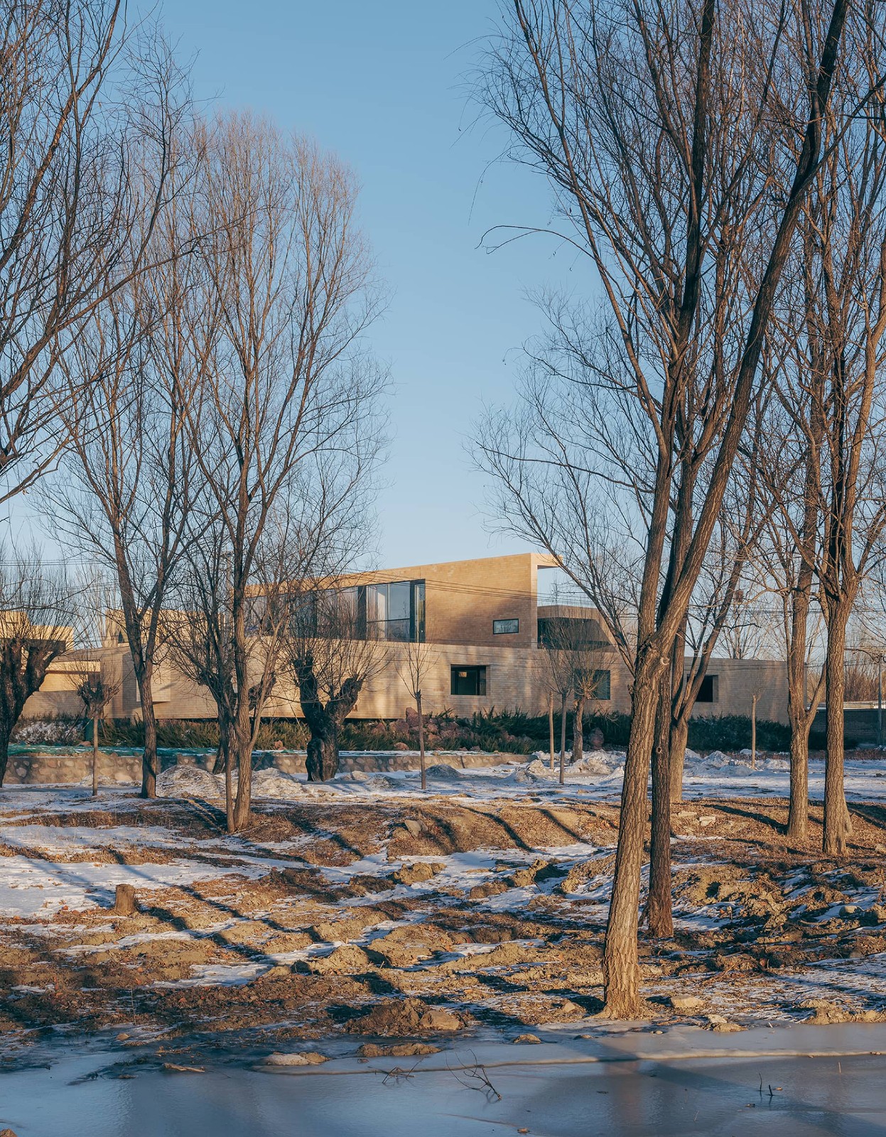 BIM建筑|ARVO 16：30酒店: 接住光影草木的城堡 / 大料建筑