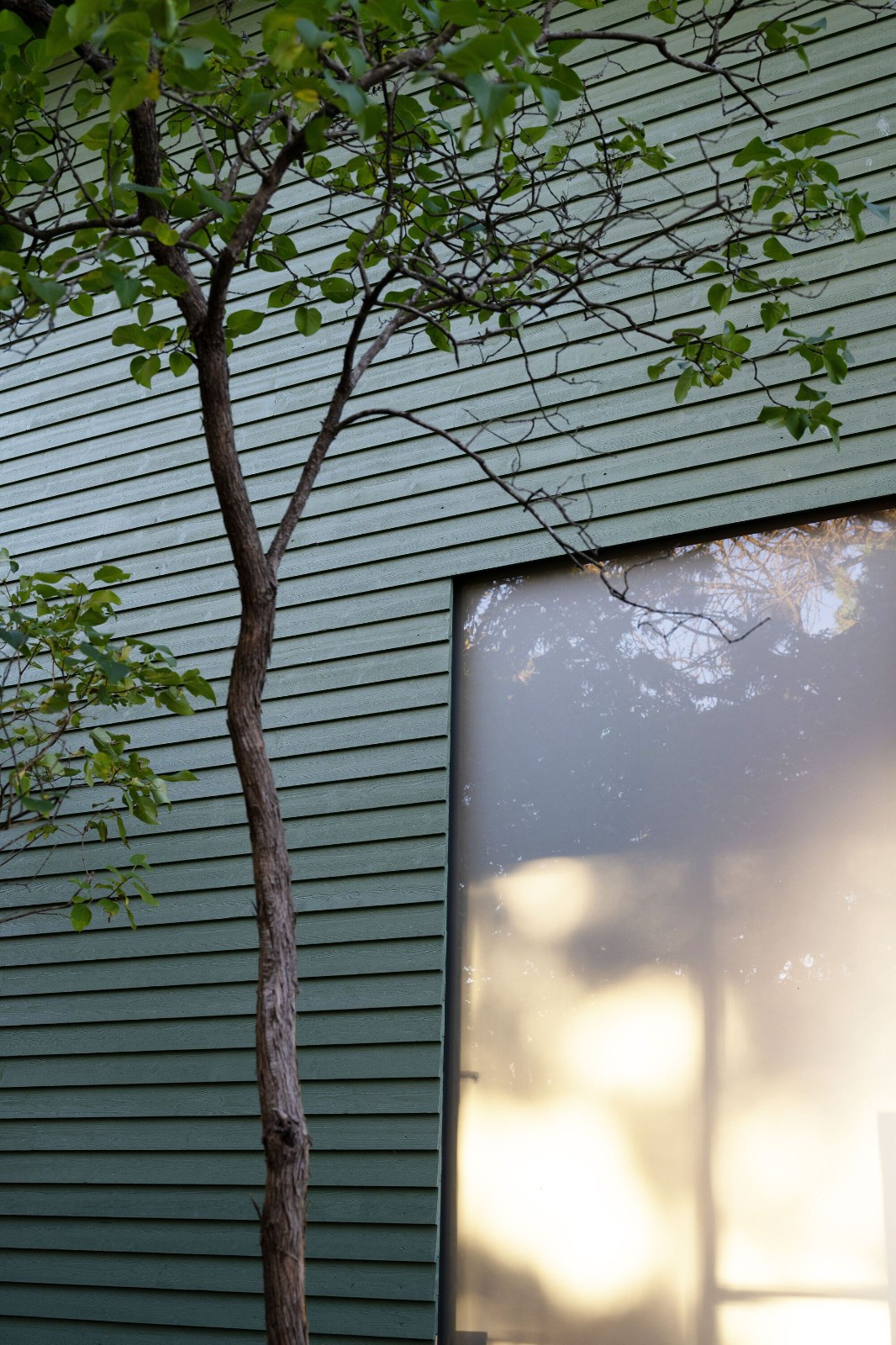 BIM建筑|奥斯陆 Sorbyhaugen 24 号住宅改造 / MORFEUS arkitekter