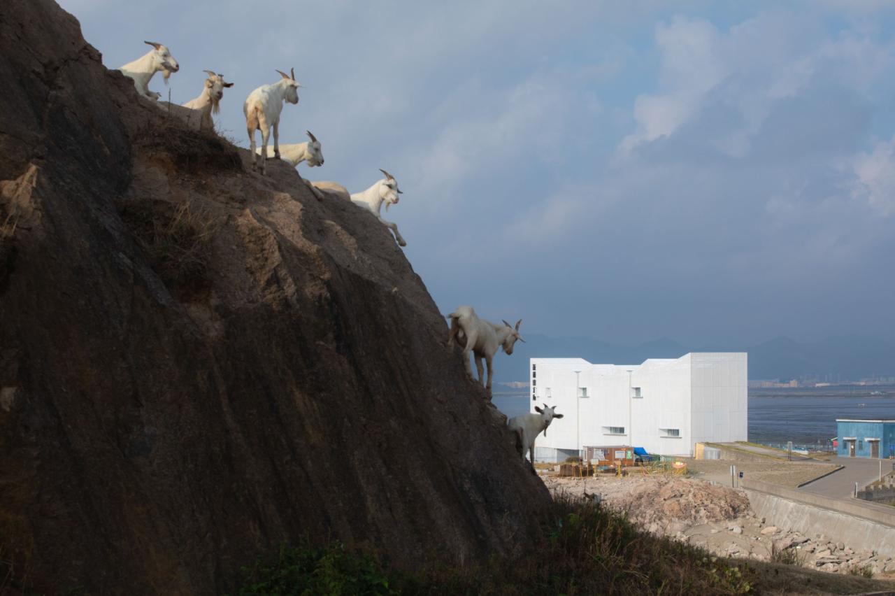 BIM建筑|山海之界”- 象山饭桶营地山水闸改造 / MARS星球建筑