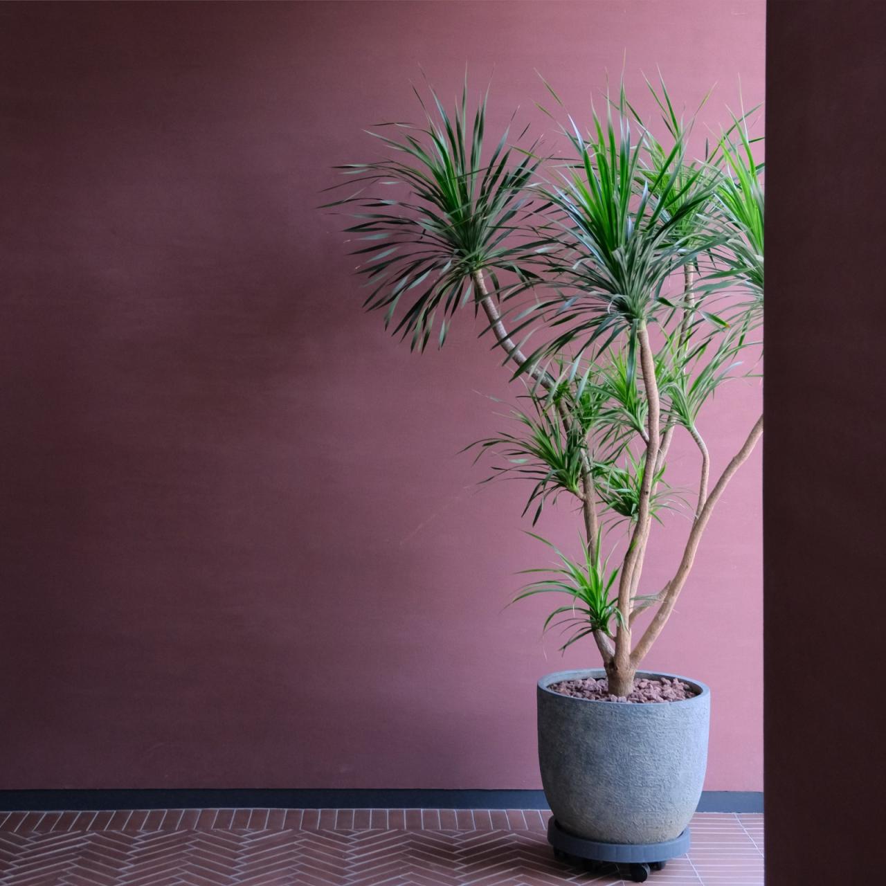 BIM建筑|“釉”织新旧，黄龙山·紫砂矿源展示馆 / 东南大学建筑学院+旭可建筑