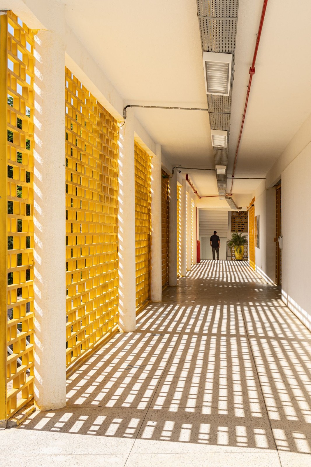 BIM建筑|Domum 学校 / Lins Arquitetos Associados