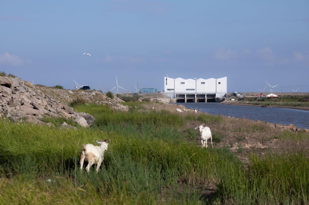 BIM建筑|山海之界”- 象山饭桶营地山水闸改造 / MARS星球建筑