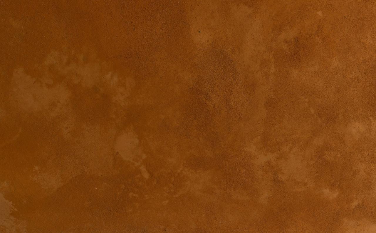 BIM建筑|瓦兹宅邸 / Vy architecture studio