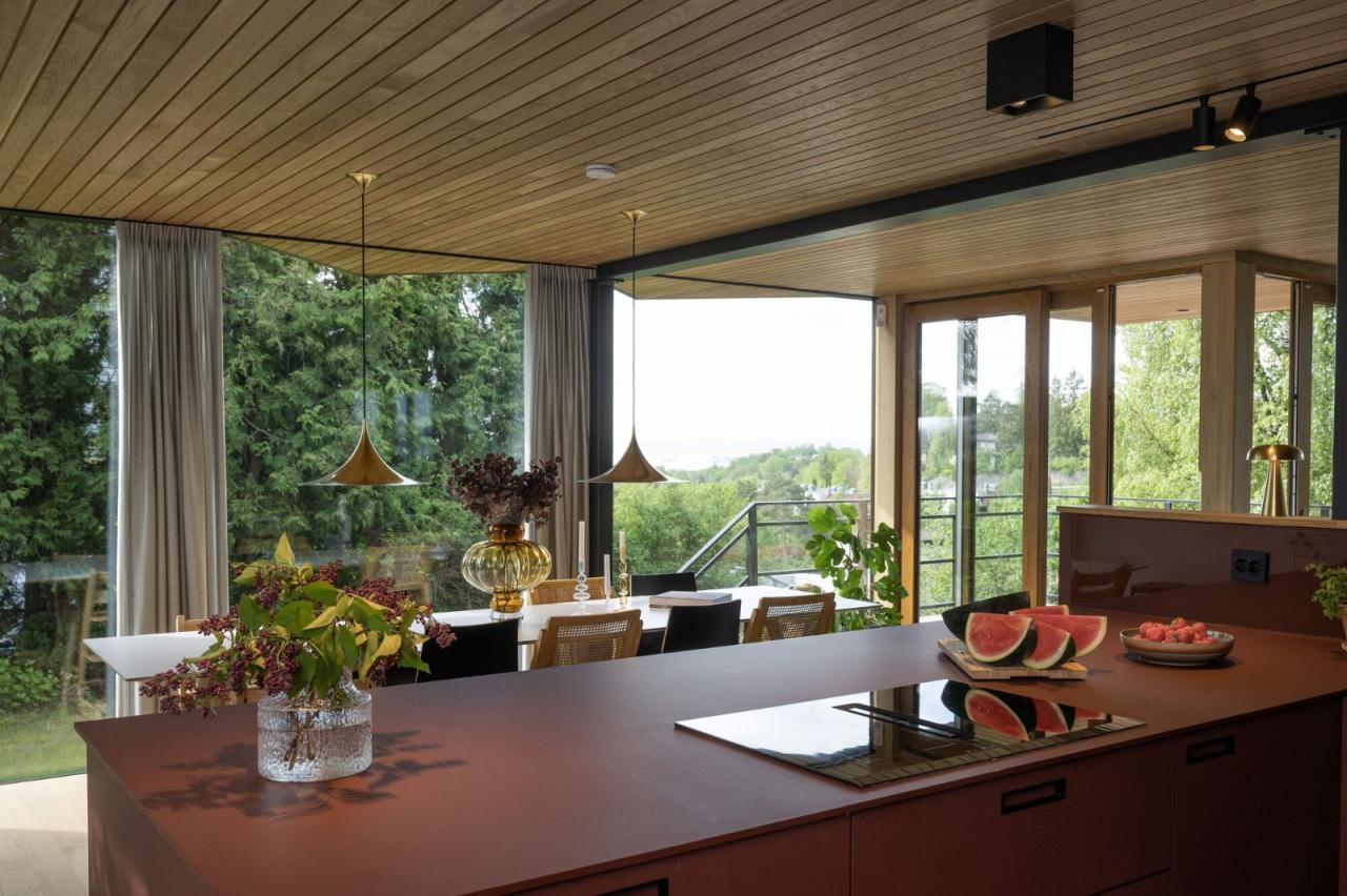 BIM建筑|奥斯陆 Sorbyhaugen 24 号住宅改造 / MORFEUS arkitekter