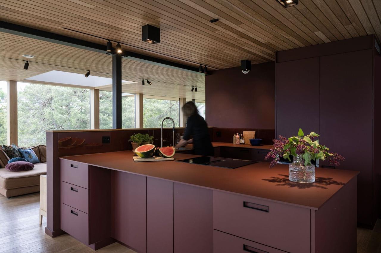 BIM建筑|奥斯陆 Sorbyhaugen 24 号住宅改造 / MORFEUS arkitekter