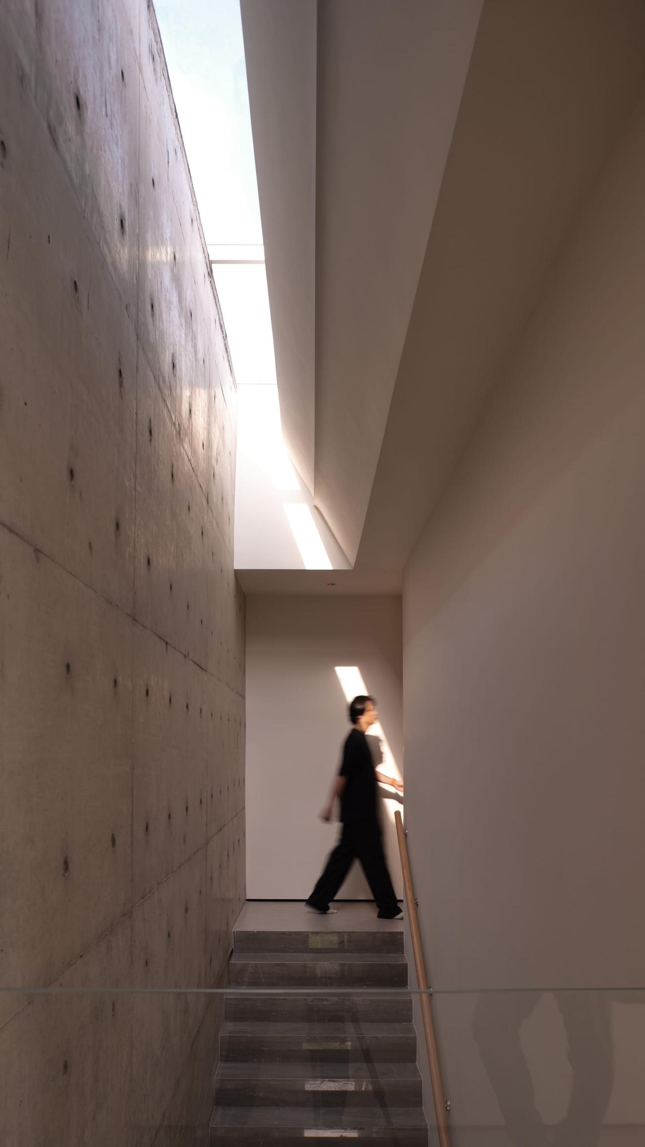 BIM建筑|濬蒙-有光的私宅 上海 / 陆启水建筑师事务所