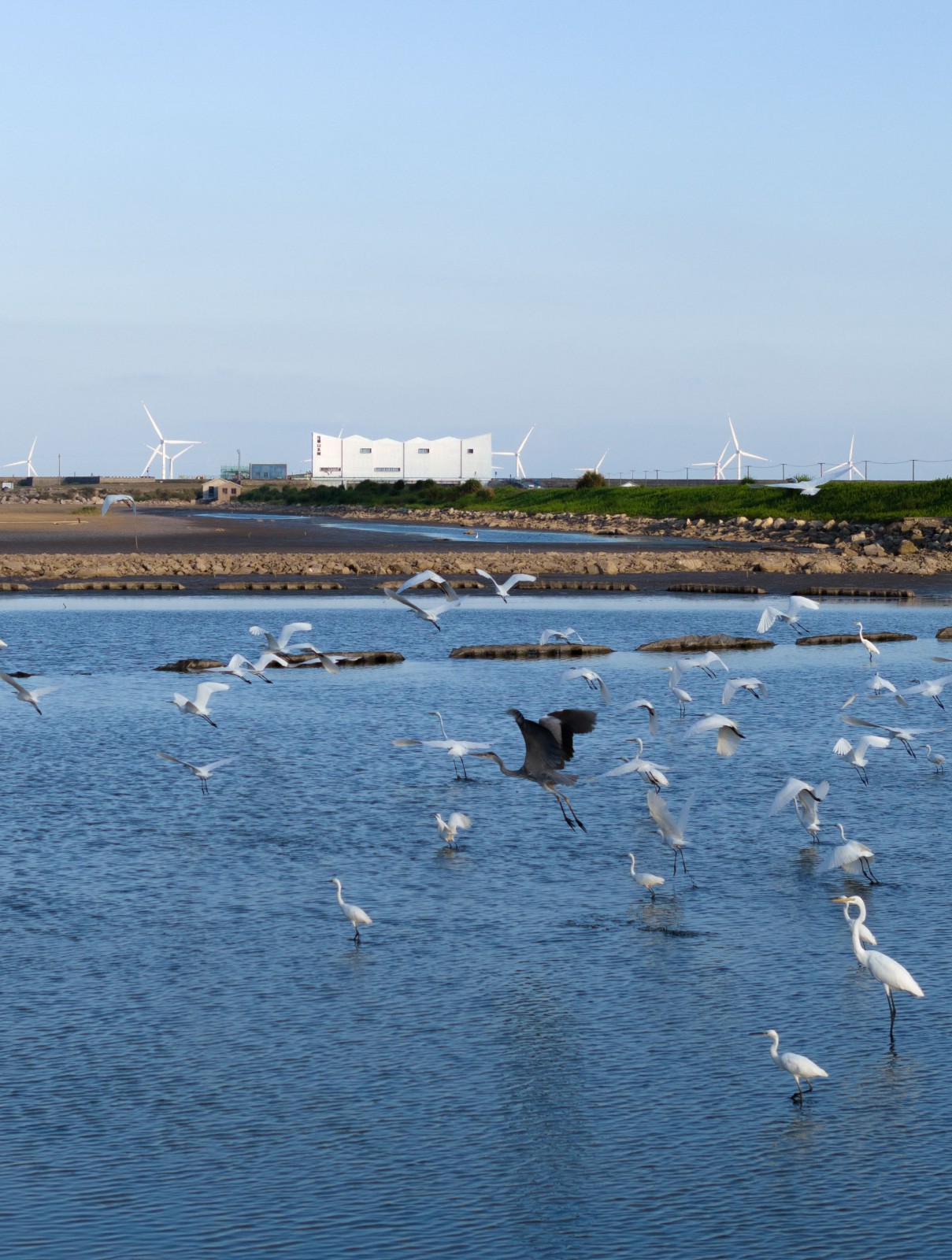 BIM建筑|山海之界”- 象山饭桶营地山水闸改造 / MARS星球建筑