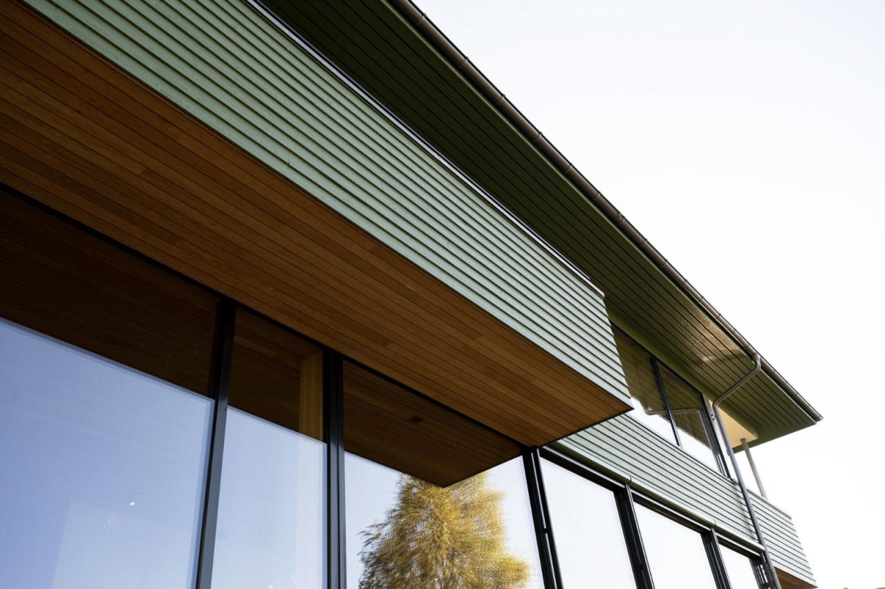 BIM建筑|奥斯陆 Sorbyhaugen 24 号住宅改造 / MORFEUS arkitekter