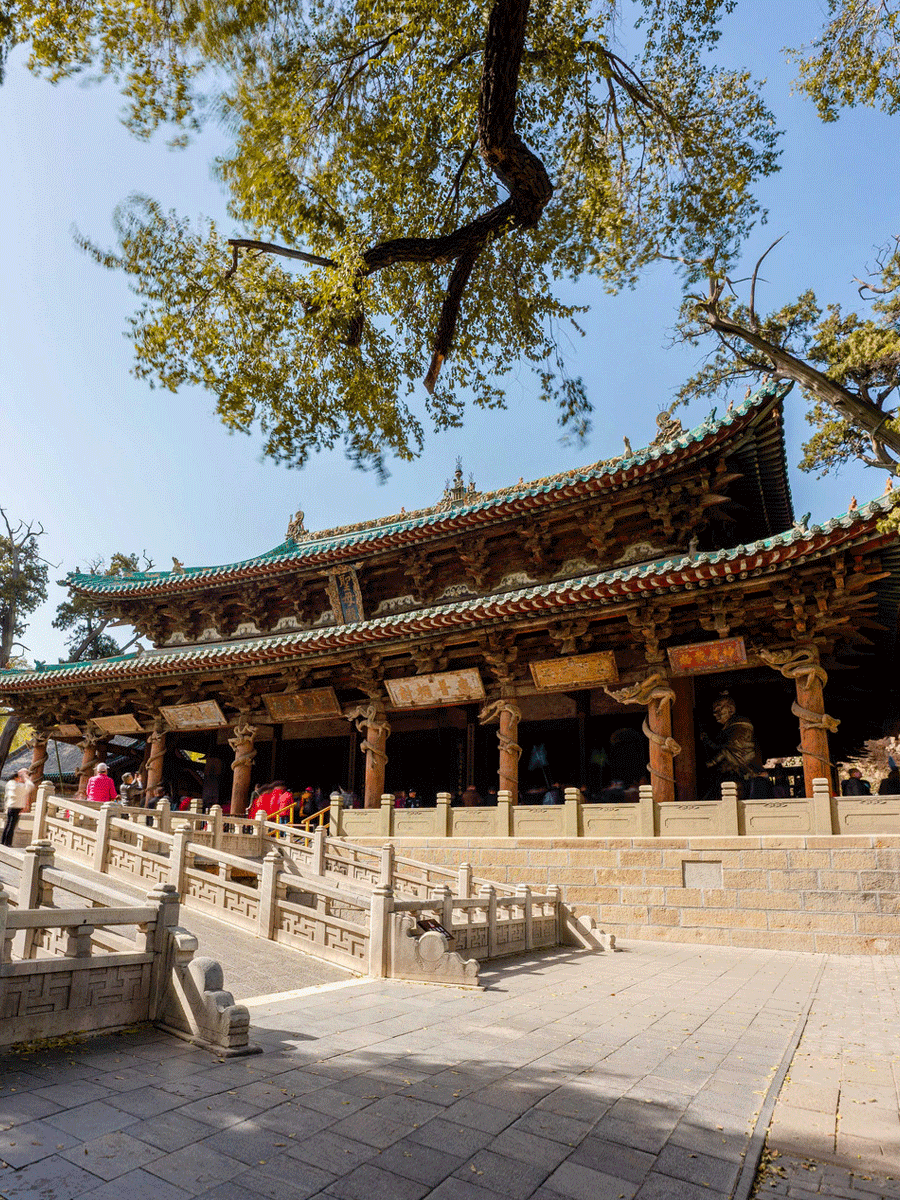 BIM建筑|早鸟价最后一天！去山西，邂逅唐宋古建筑