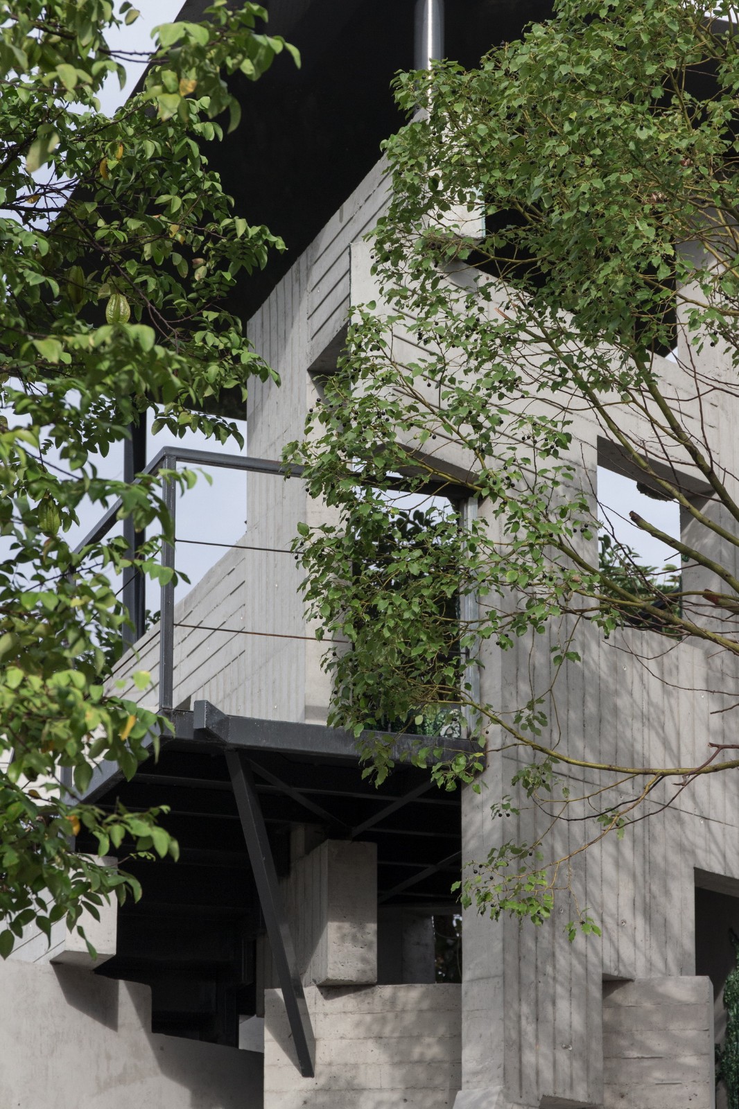 BIM建筑|繁茂的遗迹，垂直自然塔 / 合造社