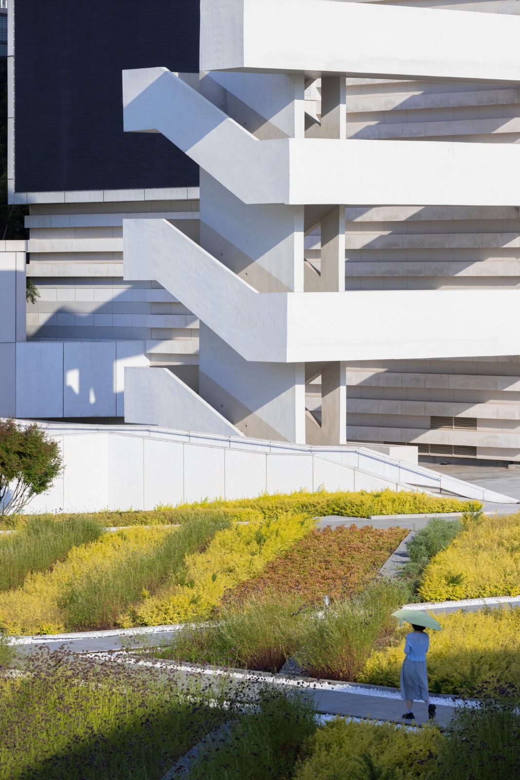 BIM建筑|武汉东西湖文化中心 / 中国院大器工作室