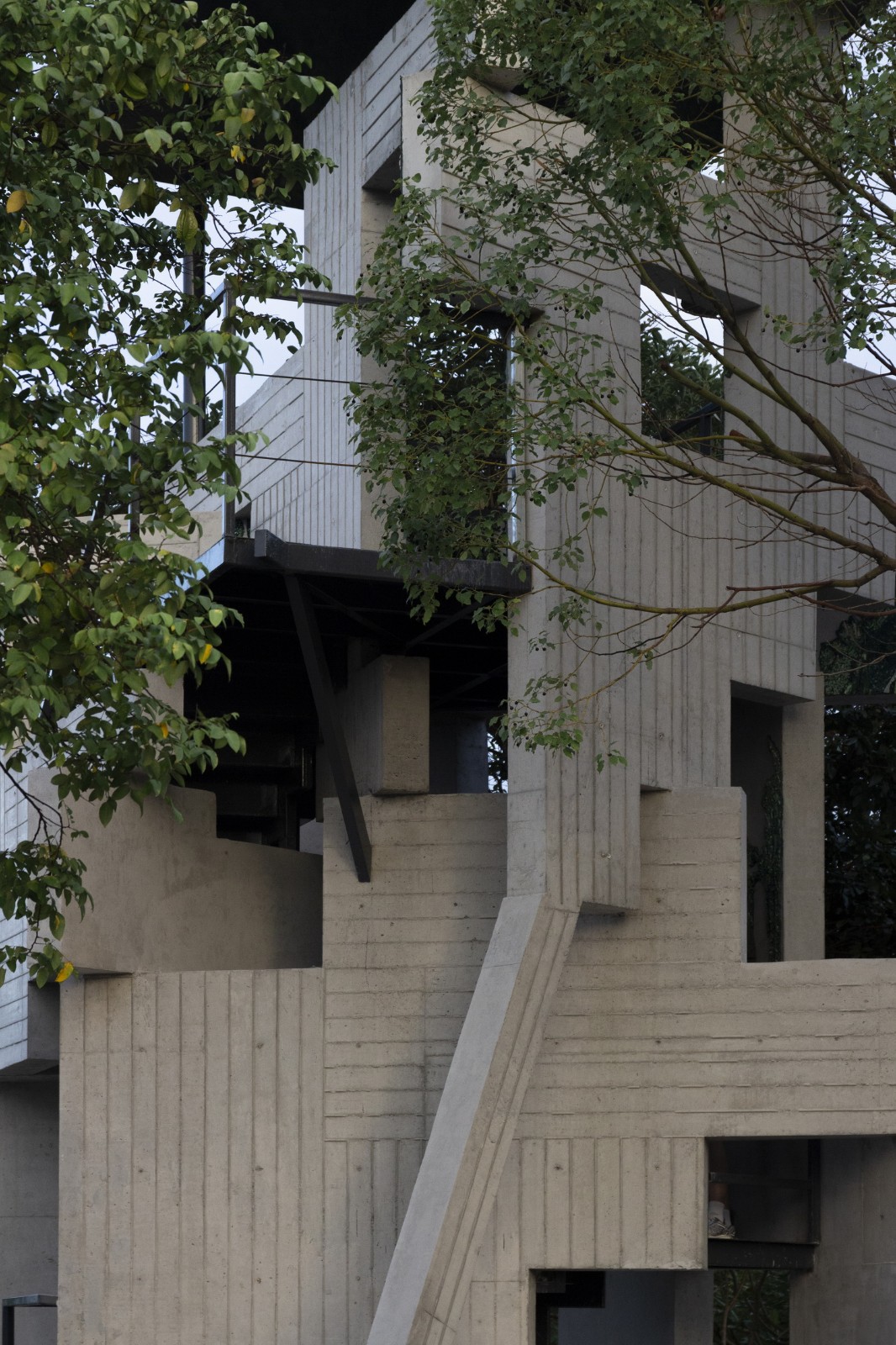 BIM建筑|繁茂的遗迹，垂直自然塔 / 合造社