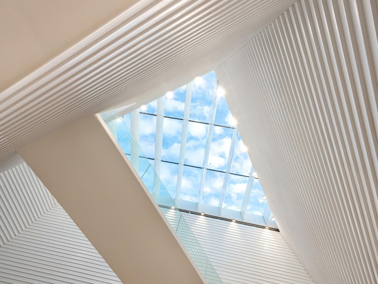 BIM建筑|迪里耶未来艺术中心 / Schiattarella Associati