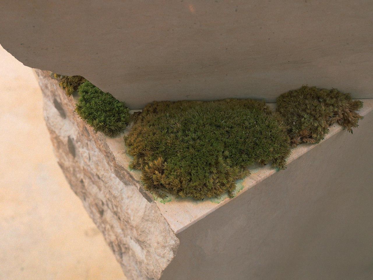 BIM建筑|15 ESSENTIALS十五元素 / dongqi Design栋栖设计