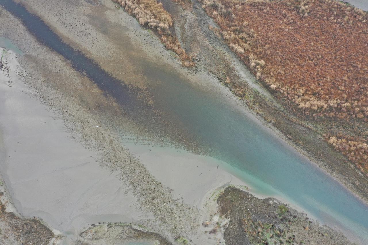 BIM建筑|凫岛 · 鲁家滩湿地公园商业服务中心 / MUDA 慕达建筑