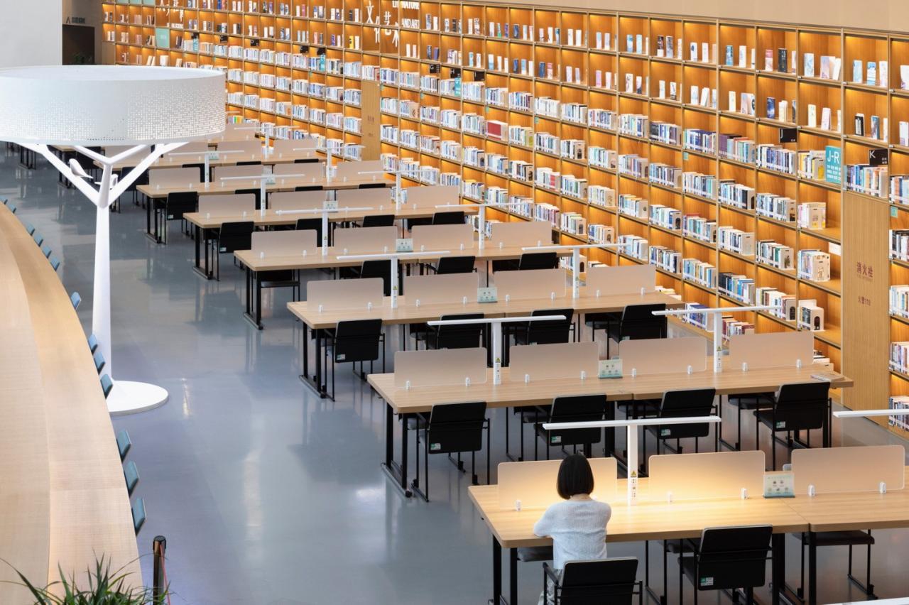 BIM建筑|武汉东西湖文化中心 / 中国院大器工作室