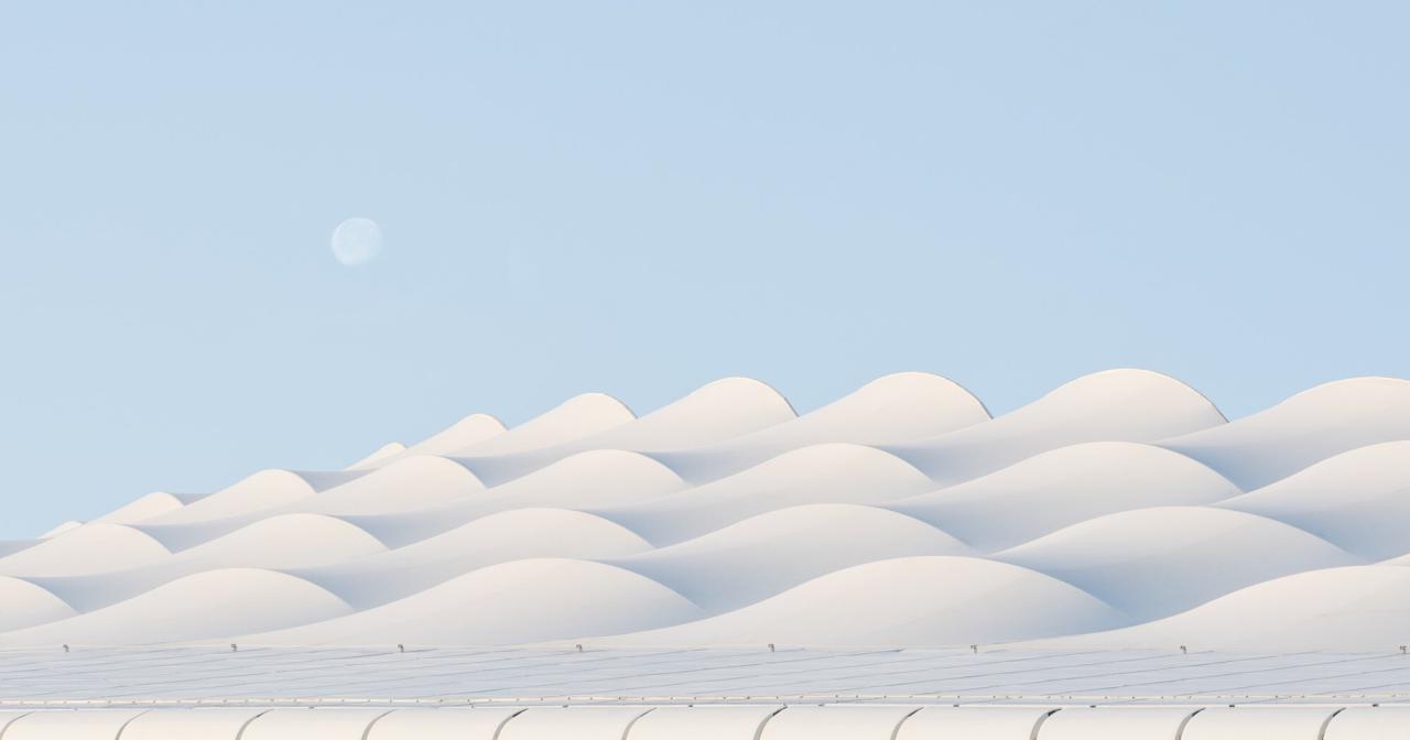 BIM建筑|襄阳全民体育运动中心 / 中南建院墨水尺工作室