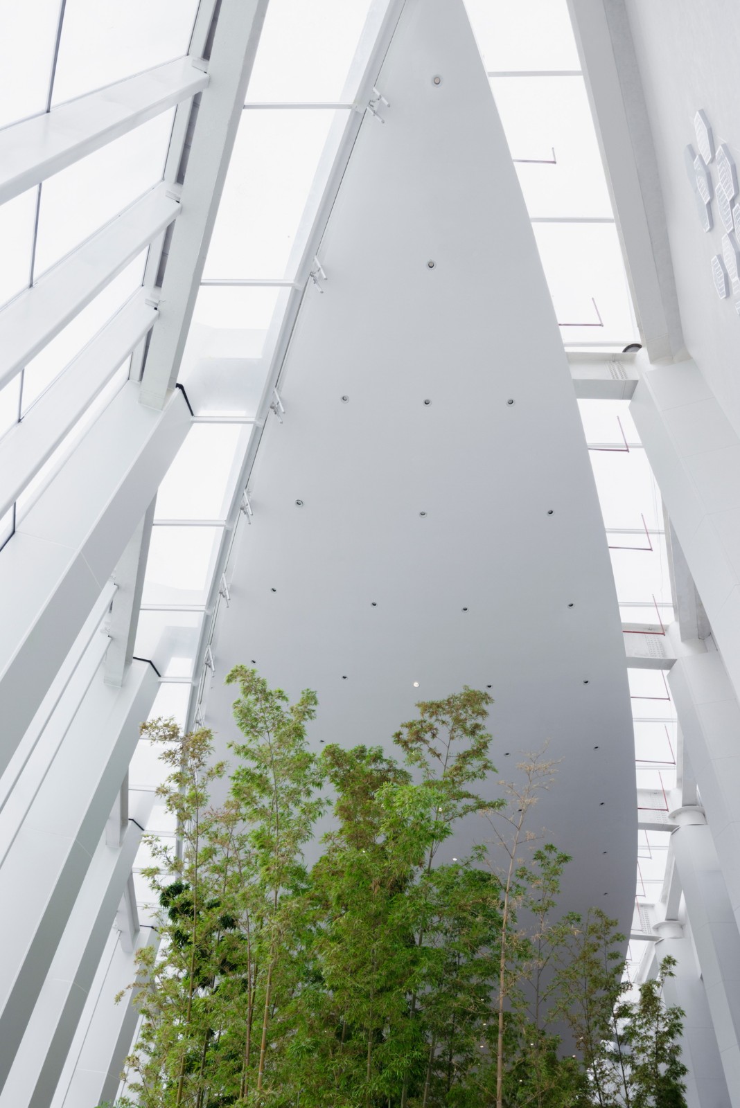 BIM建筑|武汉东西湖文化中心 / 中国院大器工作室