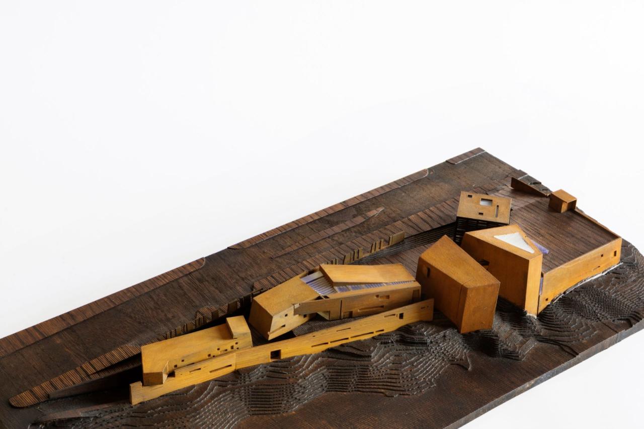 BIM建筑|迪里耶未来艺术中心 / Schiattarella Associati