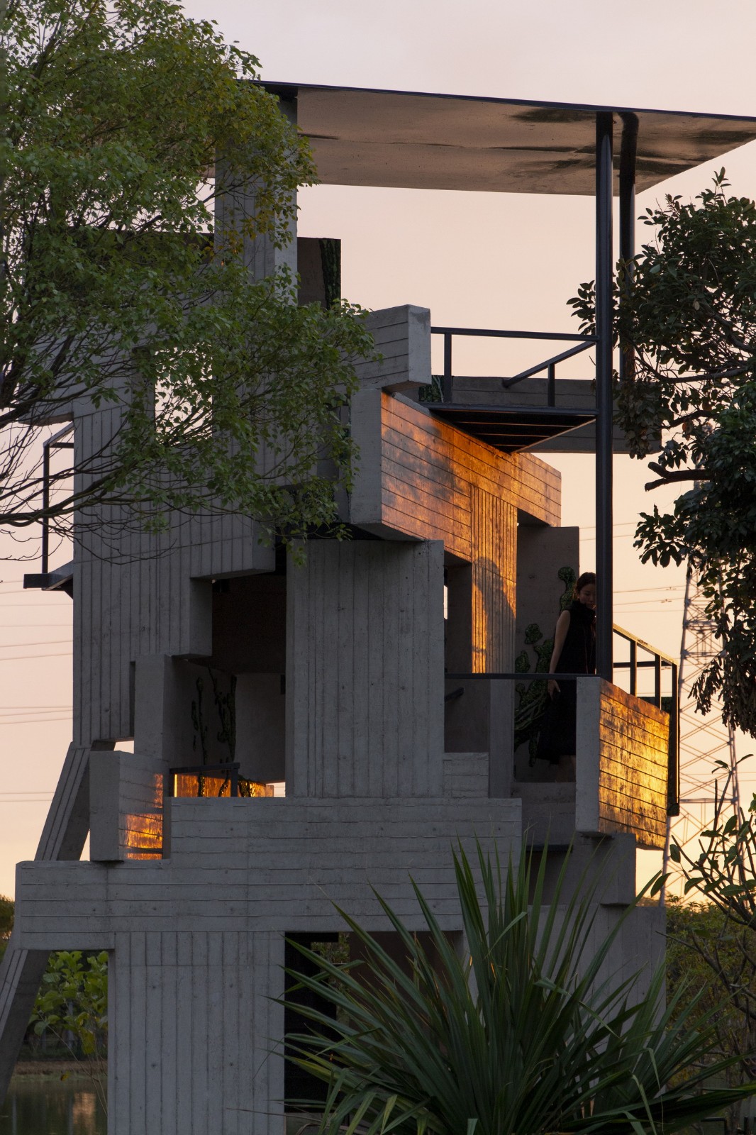 BIM建筑|繁茂的遗迹，垂直自然塔 / 合造社