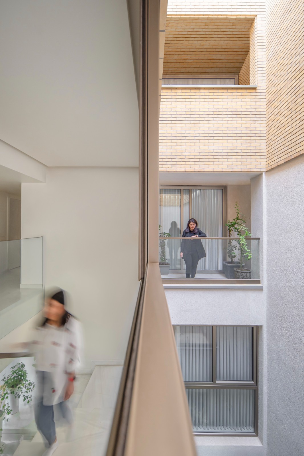 BIM建筑|2 IVANs, 2 HOUSEs / HAMAAN Studio