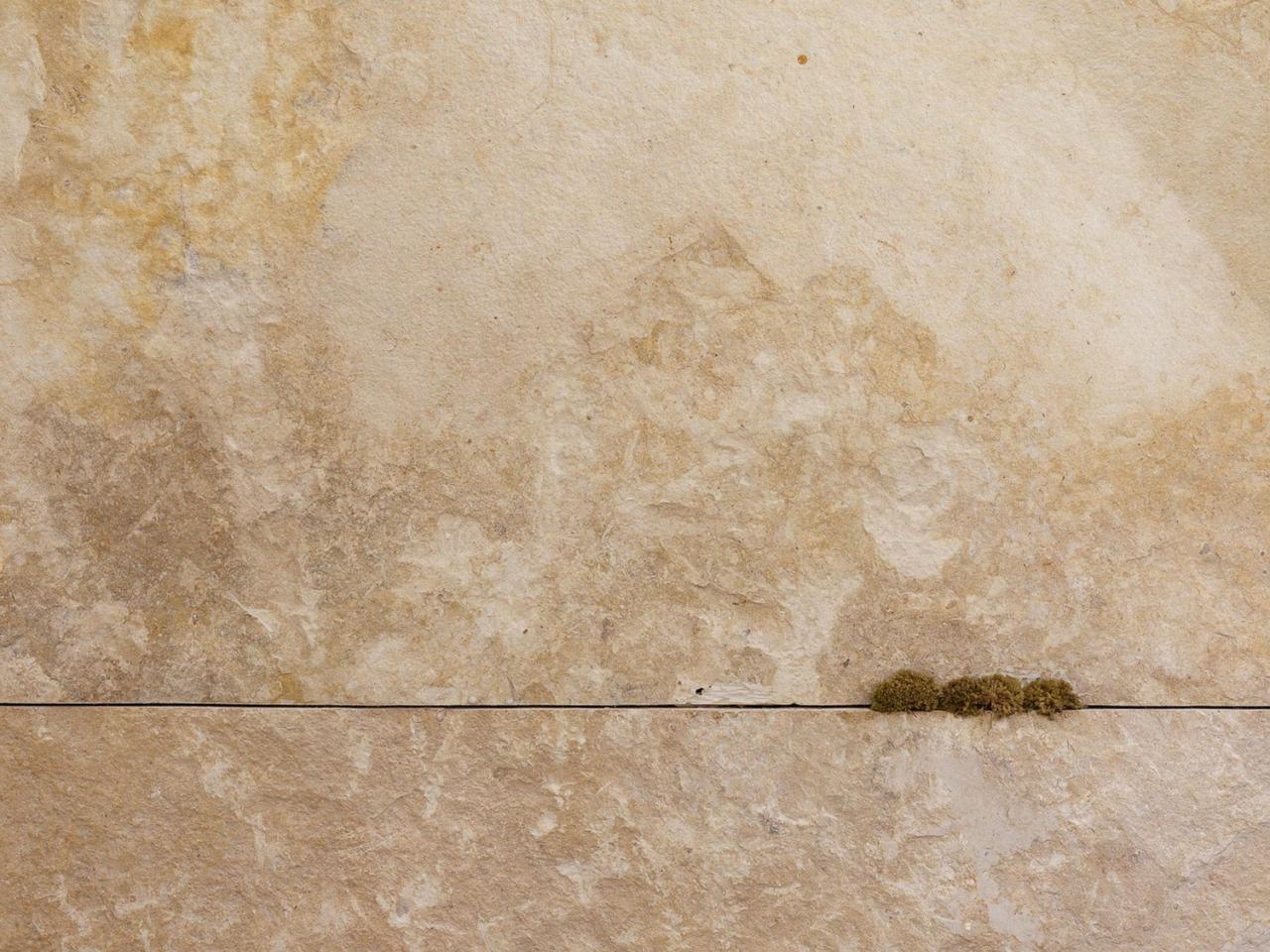 BIM建筑|15 ESSENTIALS十五元素 / dongqi Design栋栖设计