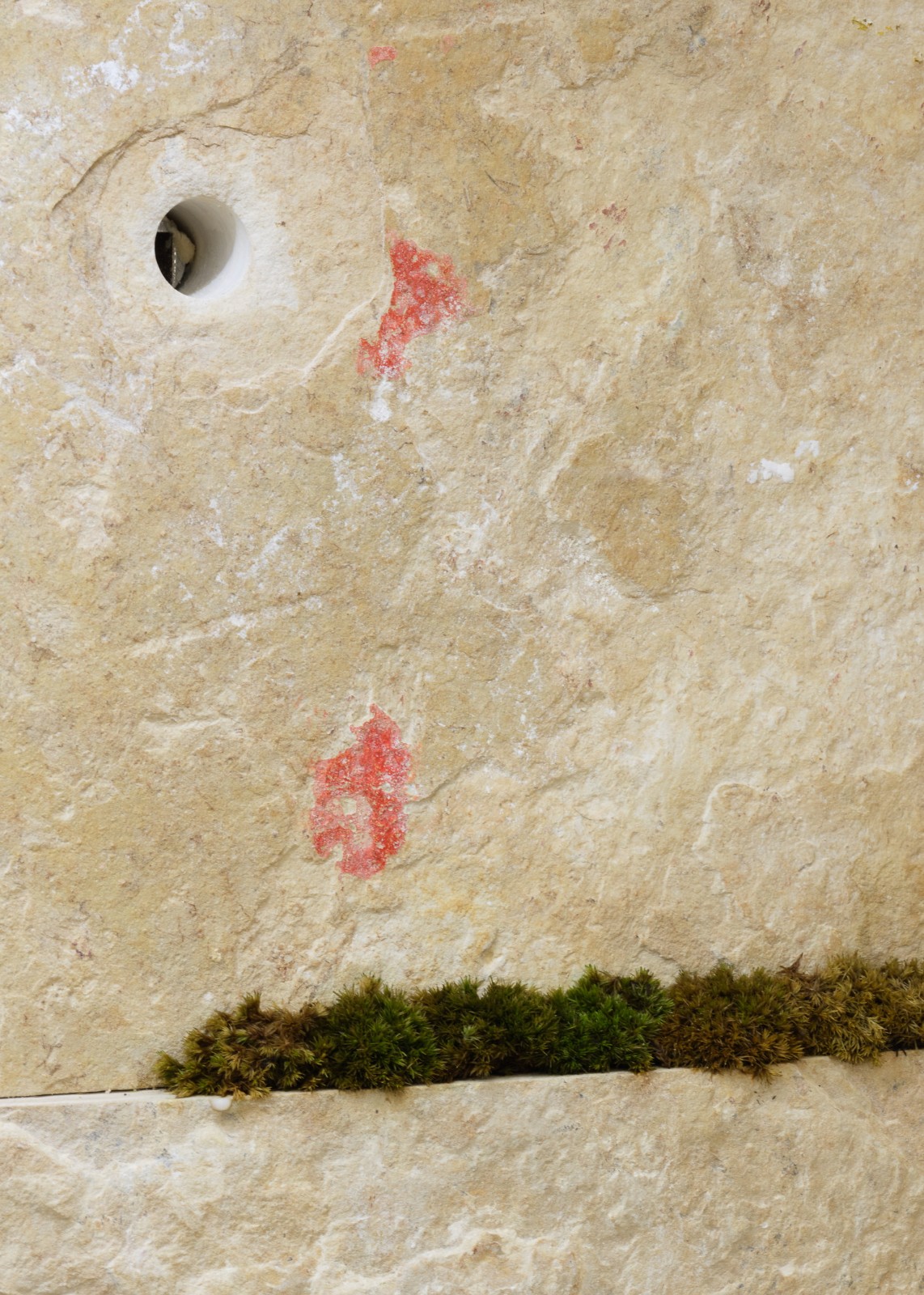 BIM建筑|15 ESSENTIALS十五元素 / dongqi Design栋栖设计