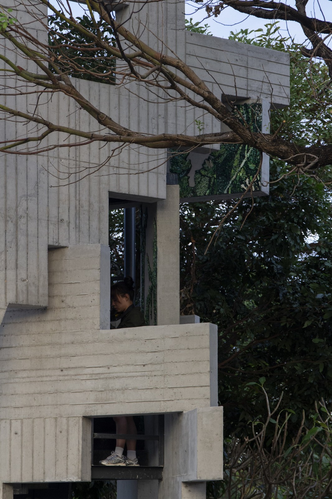 BIM建筑|繁茂的遗迹，垂直自然塔 / 合造社