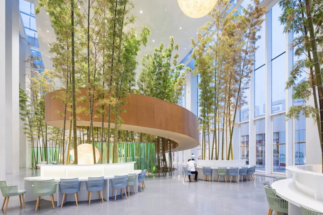 BIM建筑|武汉东西湖文化中心 / 中国院大器工作室