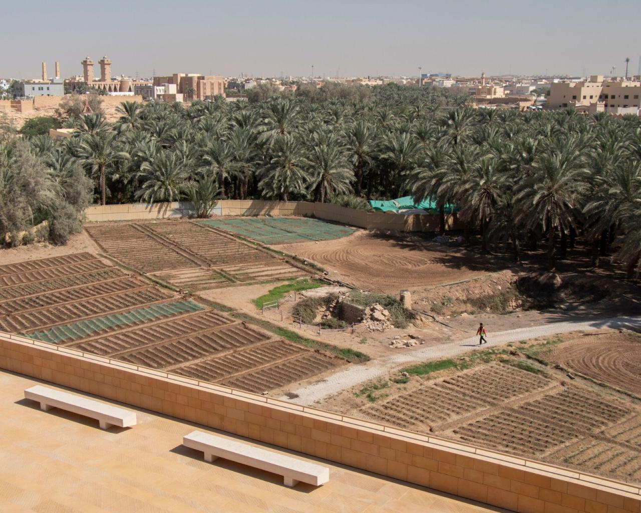 BIM建筑|迪里耶未来艺术中心 / Schiattarella Associati