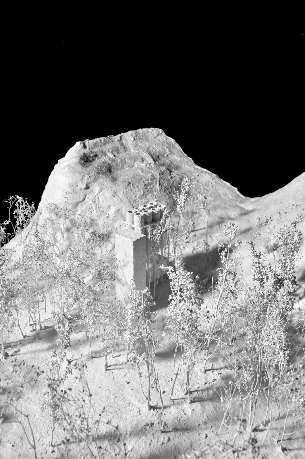 BIM建筑|雾灵山眼石汤泉，林中仪器 / 直向建筑