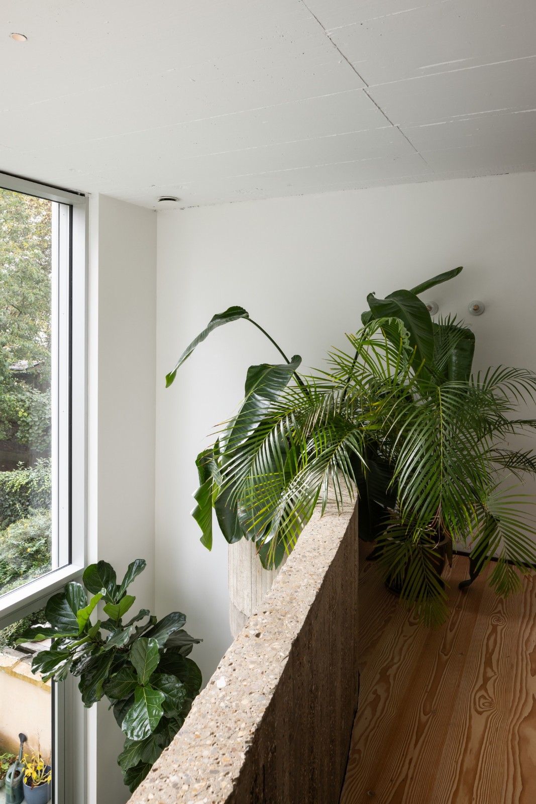 BIM建筑|WELL 住宅 / memo architectuur