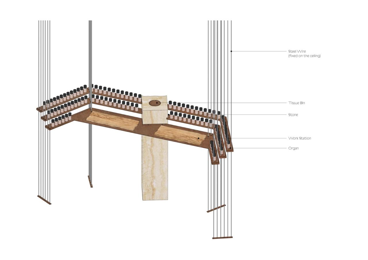 BIM建筑|15 ESSENTIALS十五元素 / dongqi Design栋栖设计