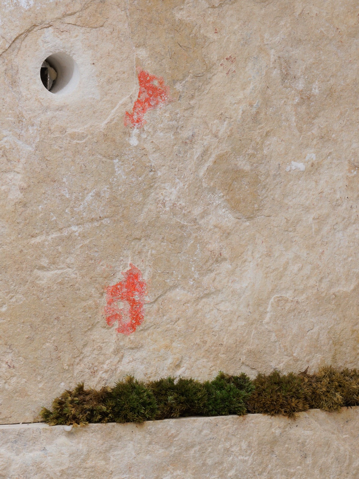 BIM建筑|15 ESSENTIALS十五元素 / dongqi Design栋栖设计